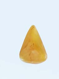s-fulong-03.jpg