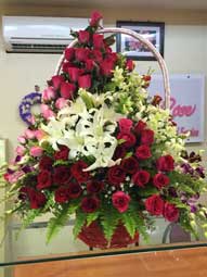 s-ladyrose-03.jpg