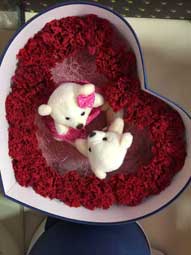 s-ladyrose-09.jpg