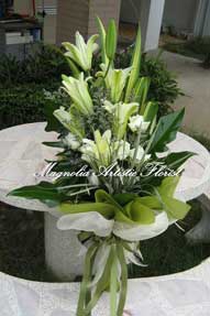 s-magnolia-06.jpg