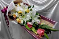 s-magnolia-09.jpg