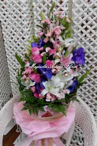 s-magnolia-10.jpg