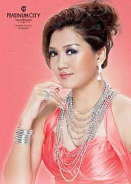 s-platinumcity-03.jpg