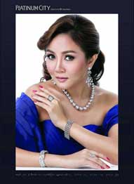 s-platinumcity-10.jpg
