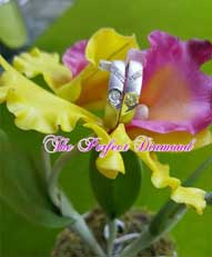 s-theperfectdiamond-010.jpg