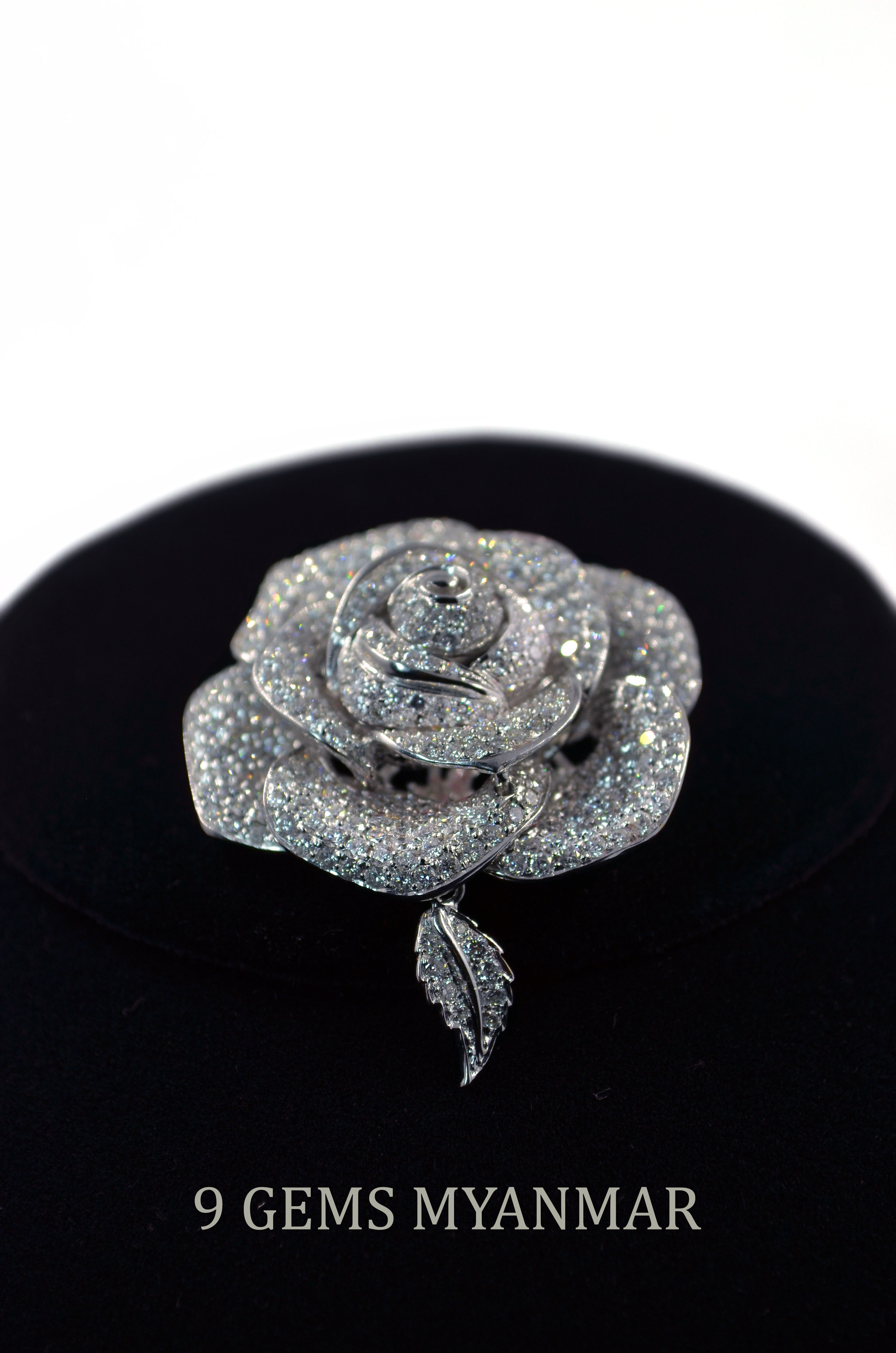 o-ninegems-sidephoto-01.jpg